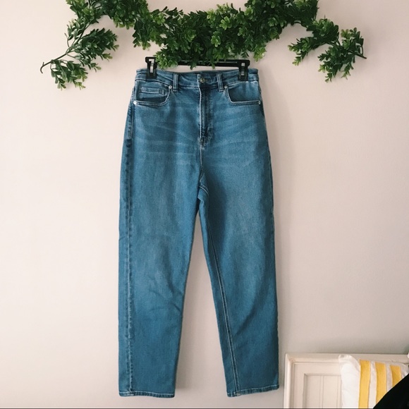 American Eagle Outfitters Denim - American Eagle Curvy Mom Jean sz 8